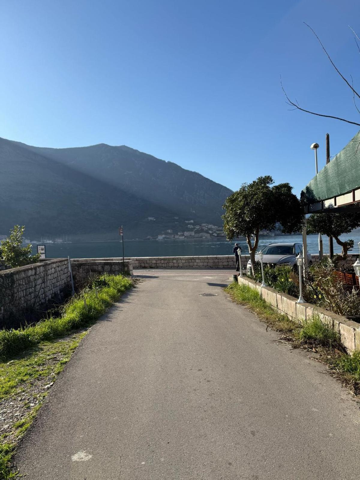 Apartment Alex ,50m From The Sea,free Private Parking